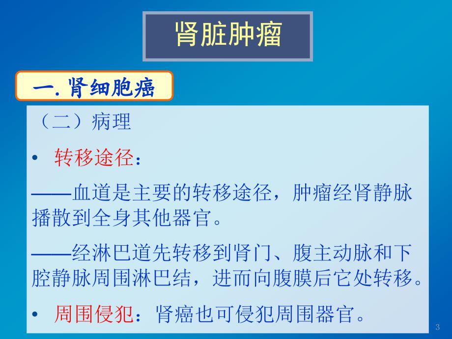 影像诊断学课件：11.泌尿系统肿瘤_第4页