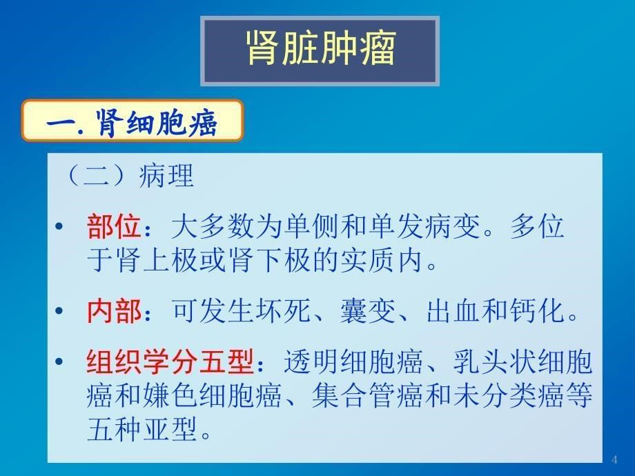 影像诊断学课件：11.泌尿系统肿瘤_第5页