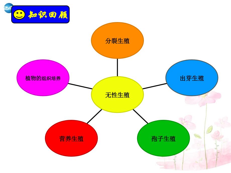 人教初中生物八下第7单元第1章生物的生殖和发育PPT课件3_第2页