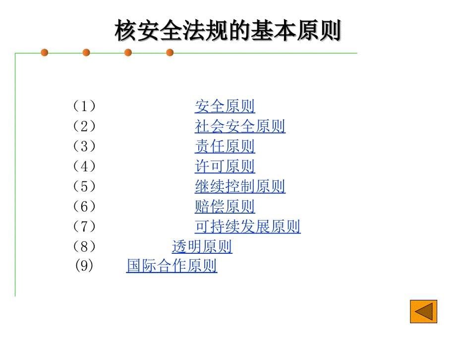 核电法规体系_第5页