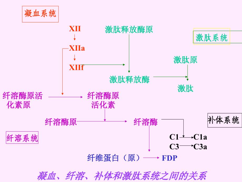 第十二章弥散性血管内凝血_第4页