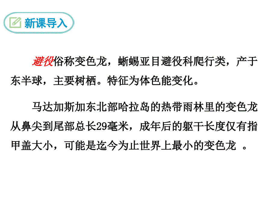 部编初中语文7.变色龙ppt课件_第4页