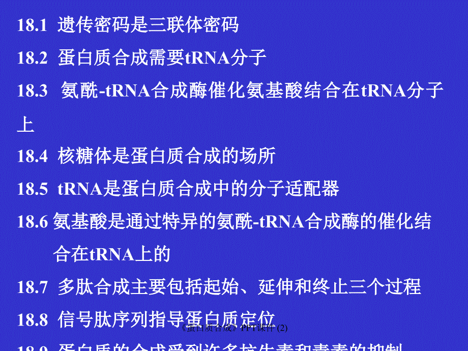 蛋白质合成最新课件_第2页