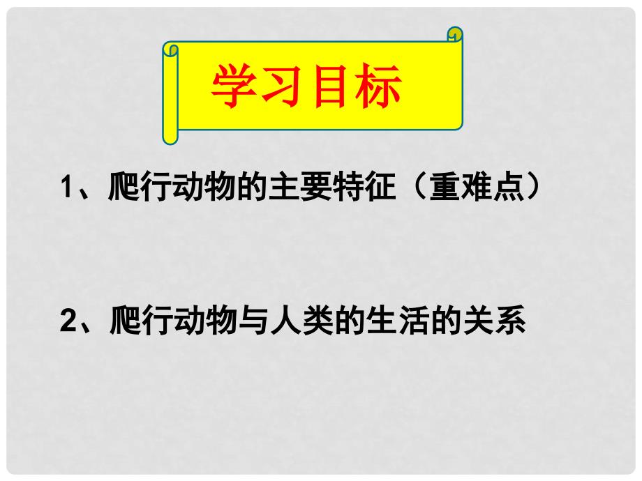 陕西省石泉县八年级生物上册 5.1.5 两栖动物和爬行动物课件 （新版）新人教版_第2页