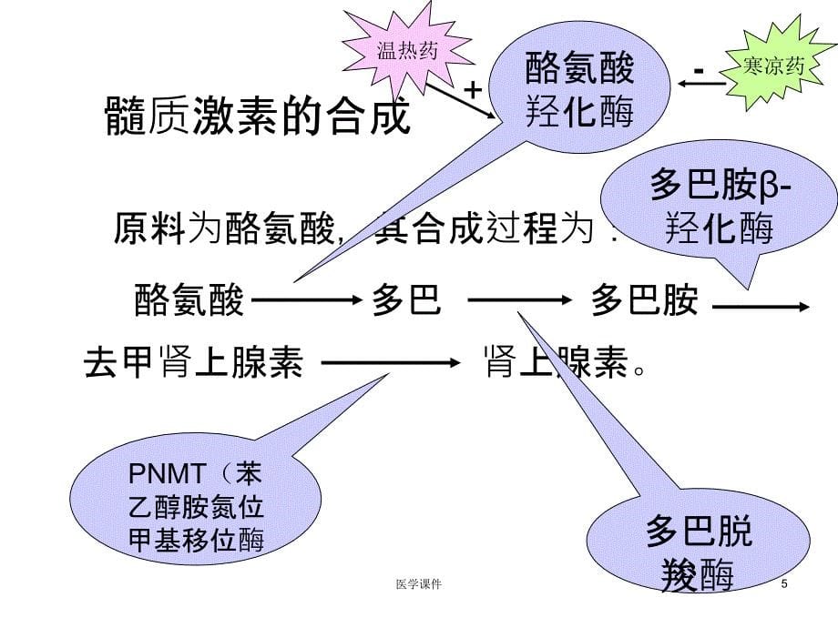 中药药效学中药药理课件_第5页