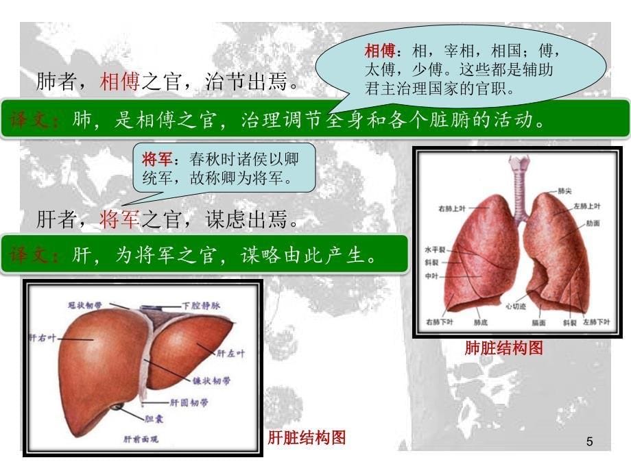 内经选读Chapter 3(201)课件_第5页