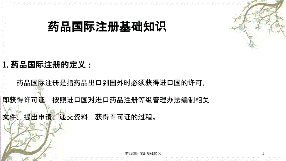 药品国际注册基础知识_第1页