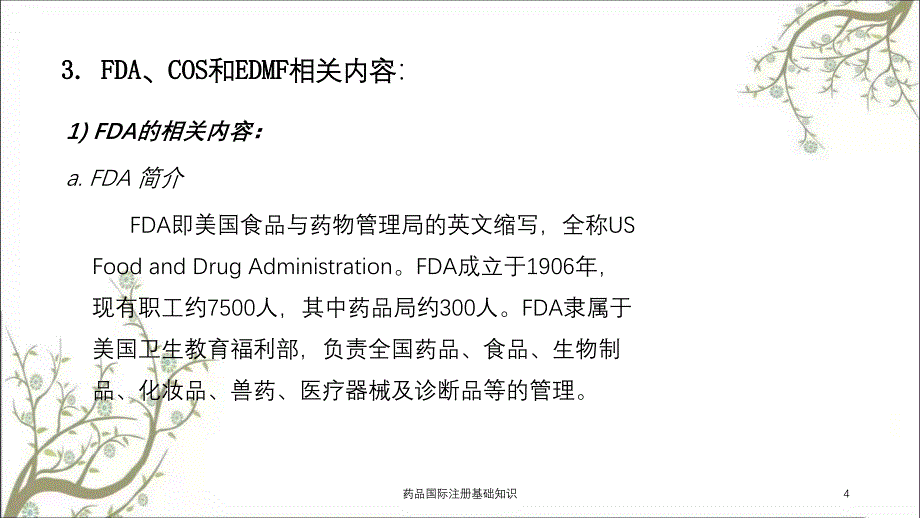 药品国际注册基础知识_第4页