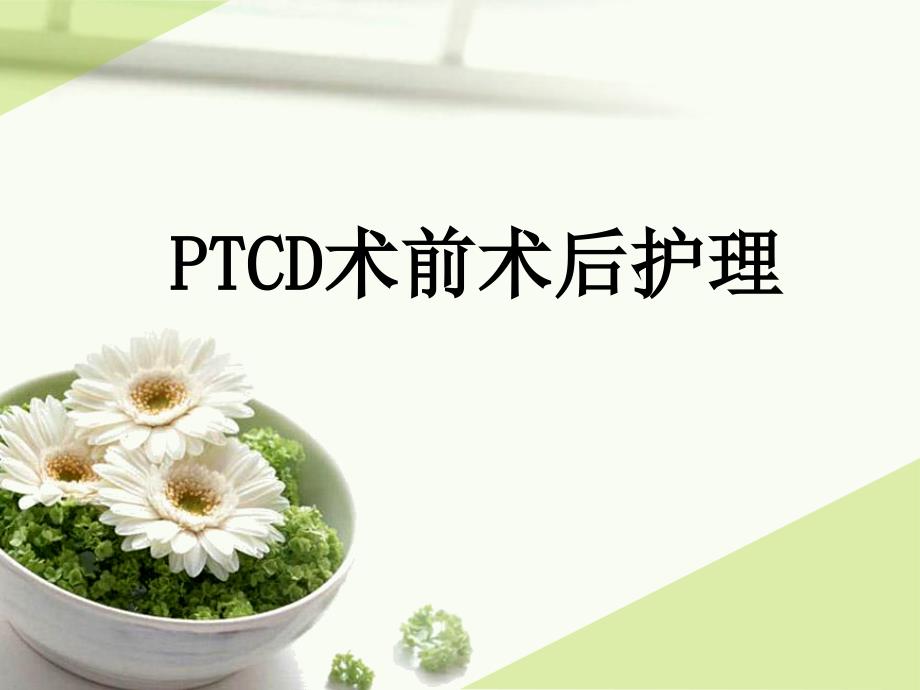 PTCD术前术后护理.ppt_第1页