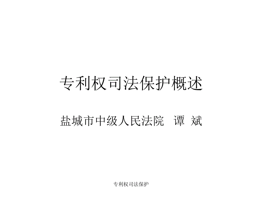 专利权司法保护课件_第1页