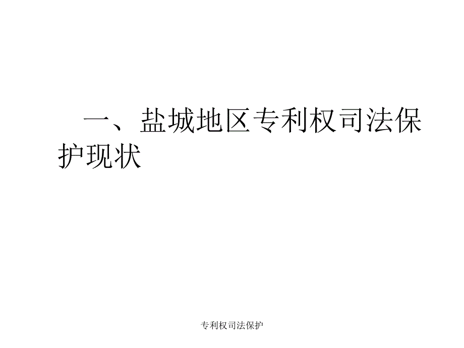 专利权司法保护课件_第2页