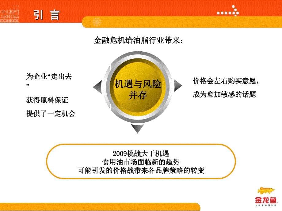 金龙鱼09公关传播建议_第5页