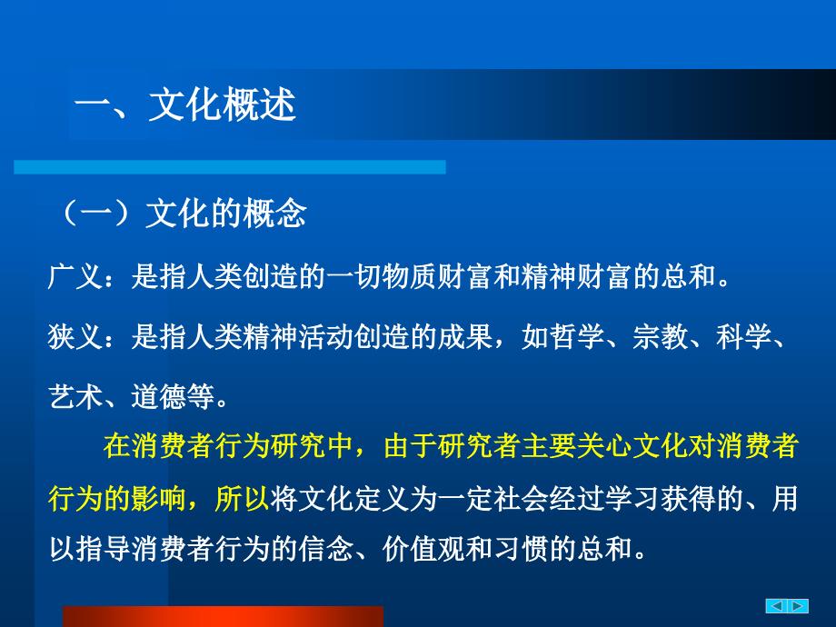 第十章文化与消费者购买行为_第4页