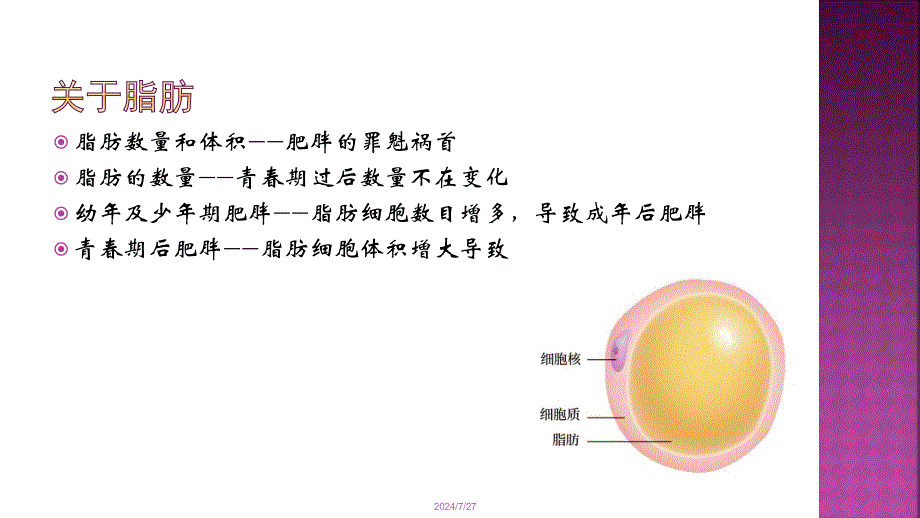 《超声减脂原理》PPT课件.ppt_第3页