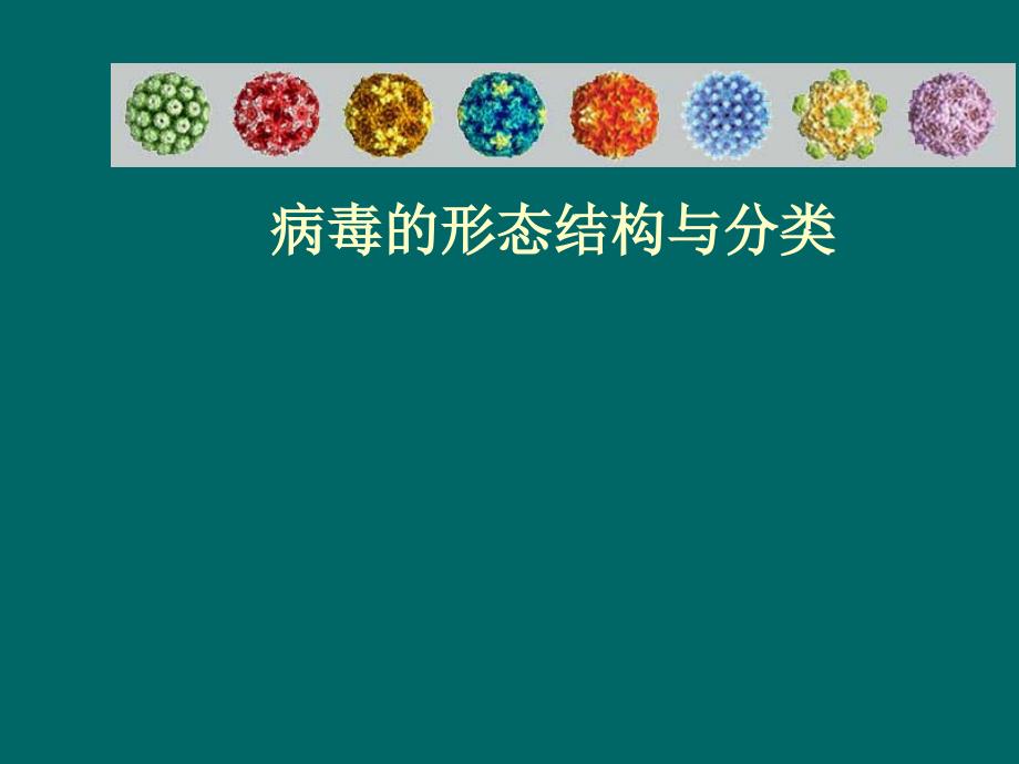 病毒的形态结构与分类_第1页