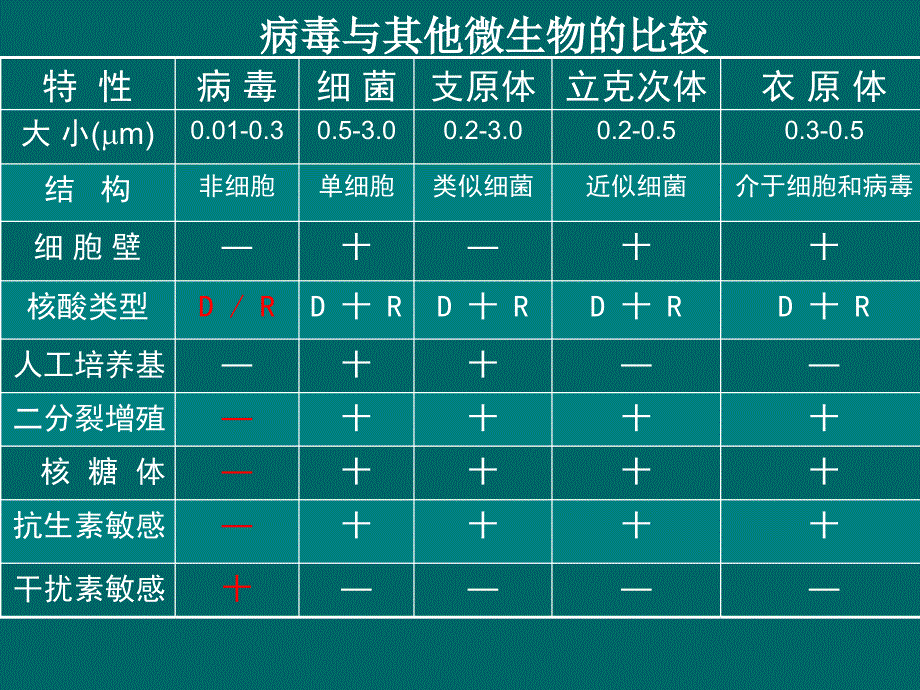 病毒的形态结构与分类_第4页