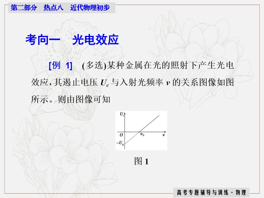 高三物理二轮复习第二部分热点 课件：八　近代物理初步_第3页