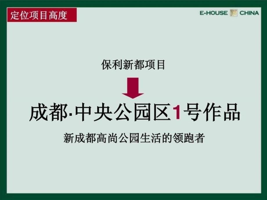 成都保利项目整体营销策划案易居中国作品119ppt_第5页