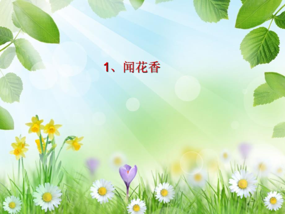 小学音乐花非花 课件 (1)PPT_第3页