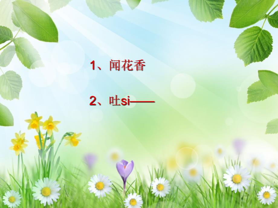 小学音乐花非花 课件 (1)PPT_第4页