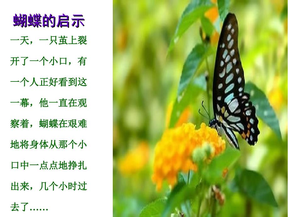 初二生物开学第一课共37张PPT_第4页