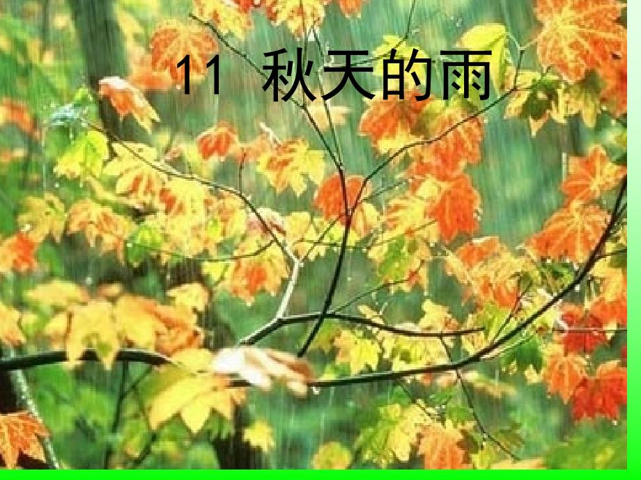 《秋天的雨》课件_第1页