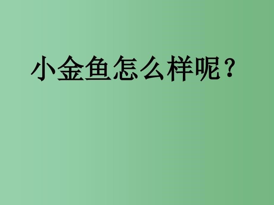 六年级科学下册3.3做好侦破准备课件2大象版_第5页