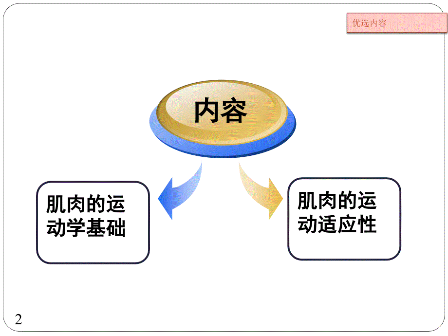 人体运动学#高级教育_第2页