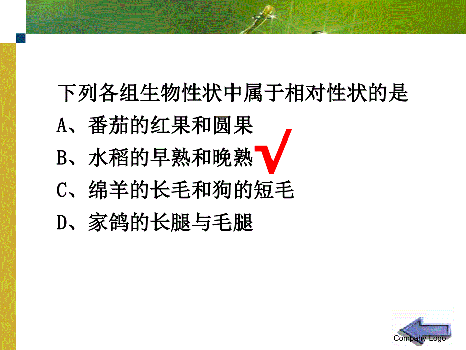 孟德尔选择了豌豆作为遗传实验材料_第4页