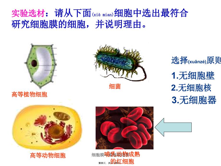 细胞膜—系统的边界课件_第4页