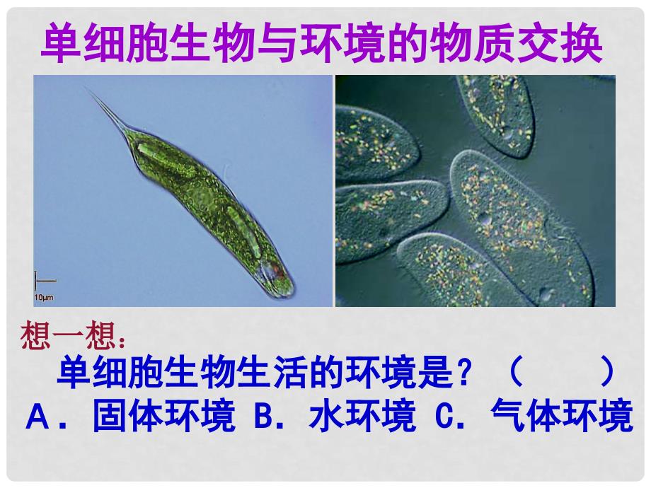 云南省弥勒县庆来中学高中生物 人体的内环境与稳态3课件 新人教版必修3_第4页