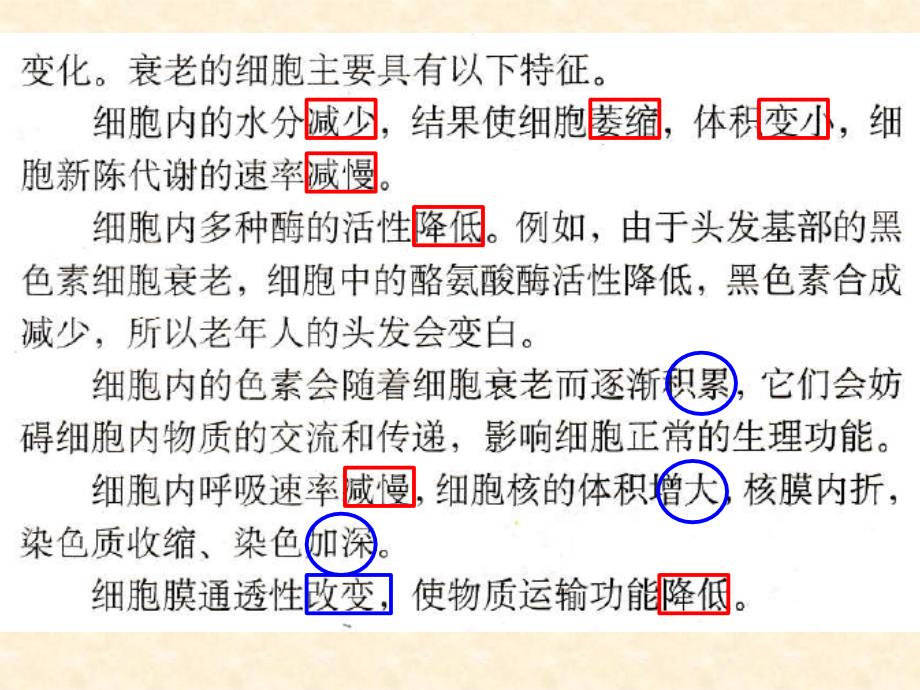 细胞衰老、凋亡变_第3页