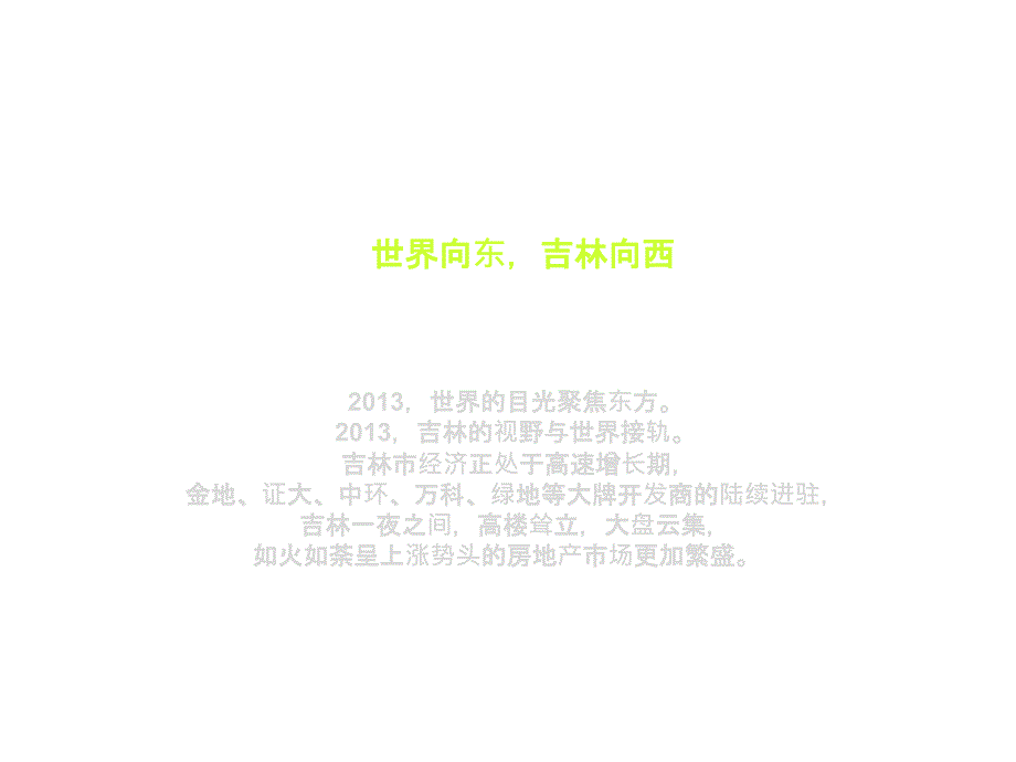 城市综合体吉林绿地中央广场8w方2.1容积率推广报告_第3页