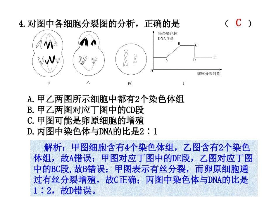 金版方案高考生物一轮复习练案课件第14讲减数分裂和受精作用_第5页