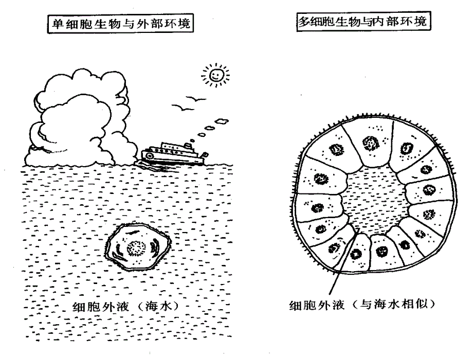 《本科水电酸碱失衡》PPT课件_第3页