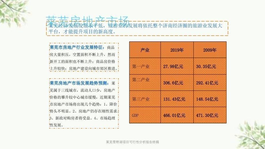 莱芜雪野湖项目可行性分析报告终稿课件_第5页