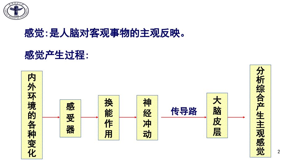 医学生理学课件：第三十一章 感觉器官的功能_第2页