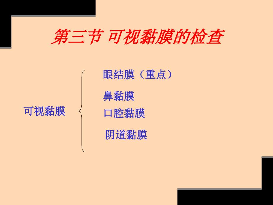 兽医临床诊断技术-—第二章整体及一般检查二—福建省农业职业技术学院动科系吴昌标_第2页