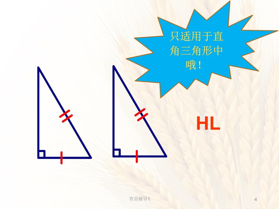 全等三角形及全等三角形中的动态问题【主要内容】_第4页