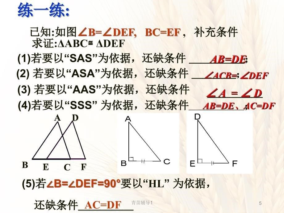 全等三角形及全等三角形中的动态问题【主要内容】_第5页