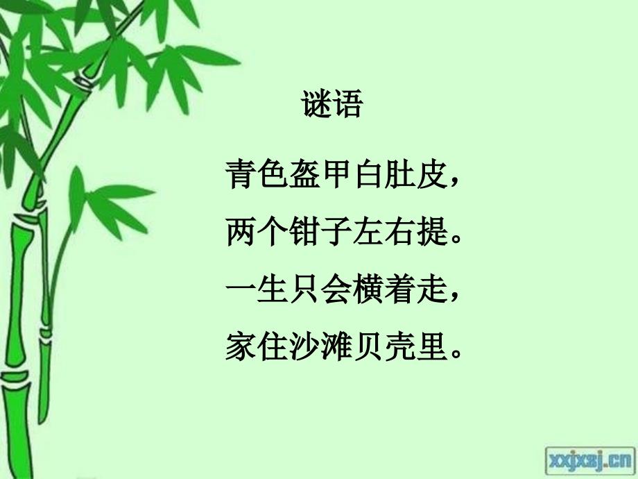 人教版小学音乐二下螃蟹歌PPT课件4_第3页