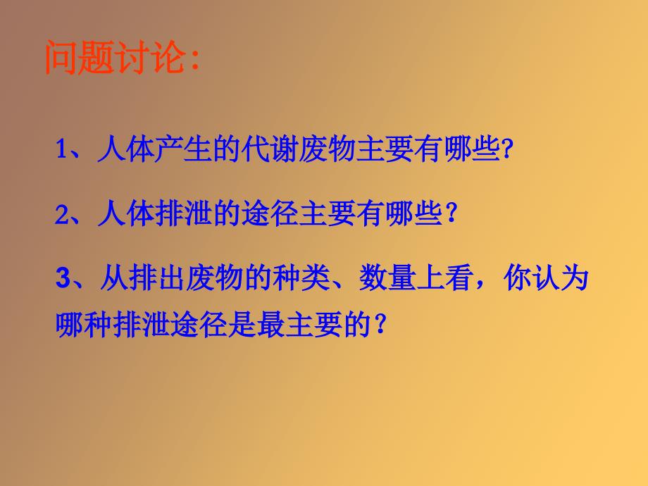 泌尿系统的组成_第2页