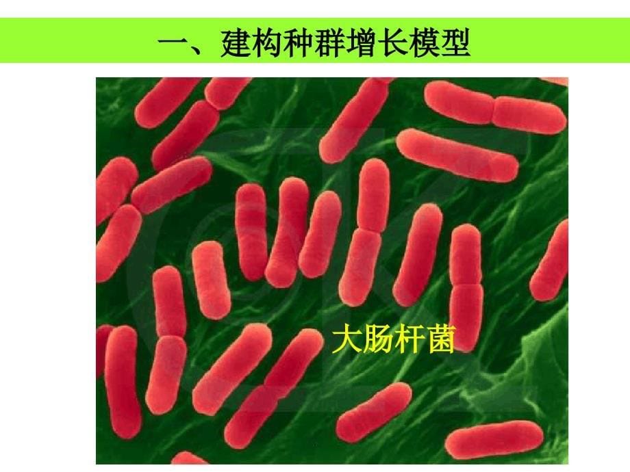 人教版必修三第四章第二节种群数量的变化_第5页