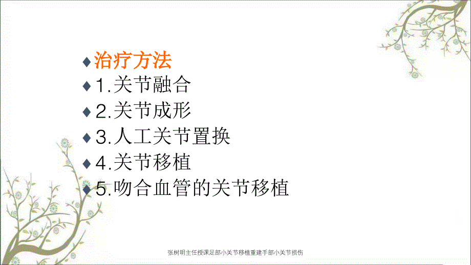 张树明主任授课足部小关节移植重建手部小关节损伤_第4页