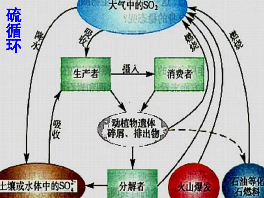 江西省吉安县高中生物第五章生态系统及其稳定性5.3生态系统的物质循环2课件新人教版必修3 .ppt_第4页