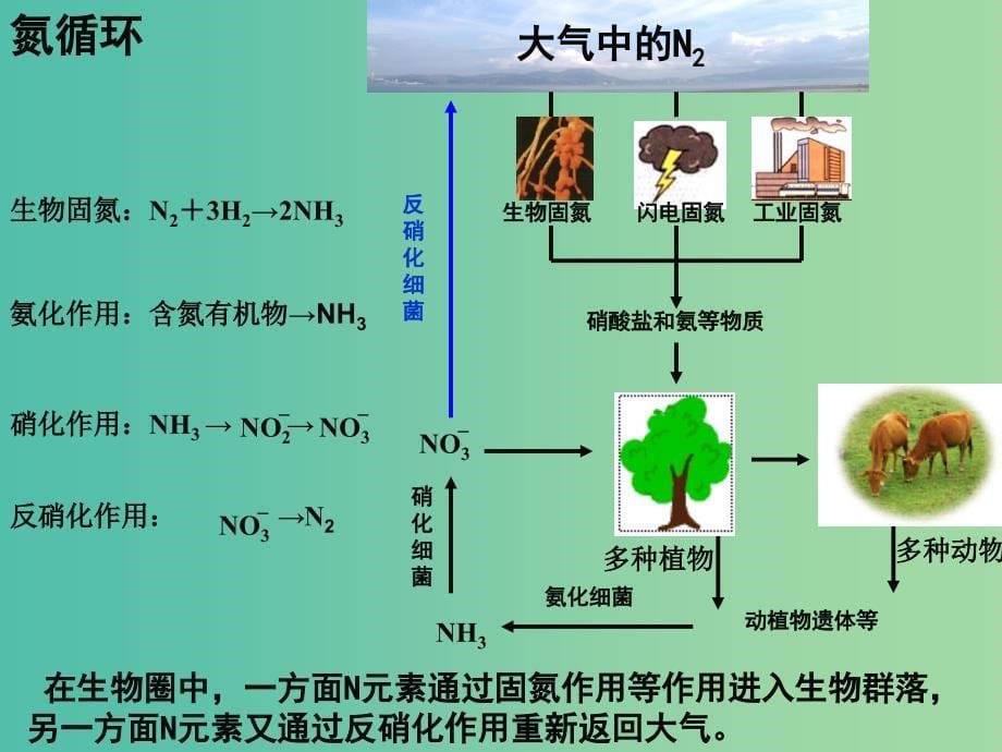 江西省吉安县高中生物第五章生态系统及其稳定性5.3生态系统的物质循环2课件新人教版必修3 .ppt_第5页