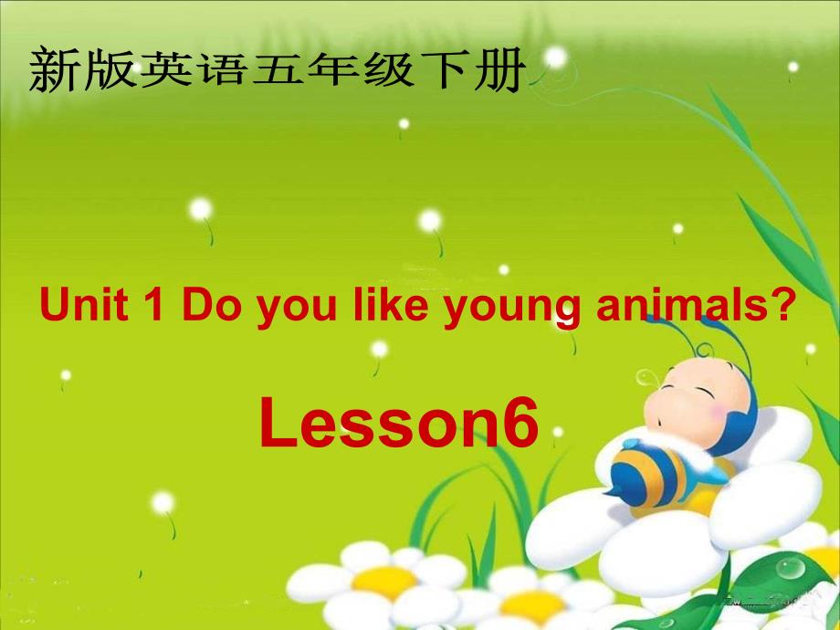 (人教新版)五年级英语下册说课课件lesson6(1)_第1页