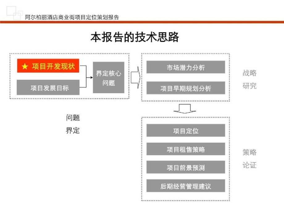 阿尔柏丽酒店bobo商业街项目报告（090526）_第3页