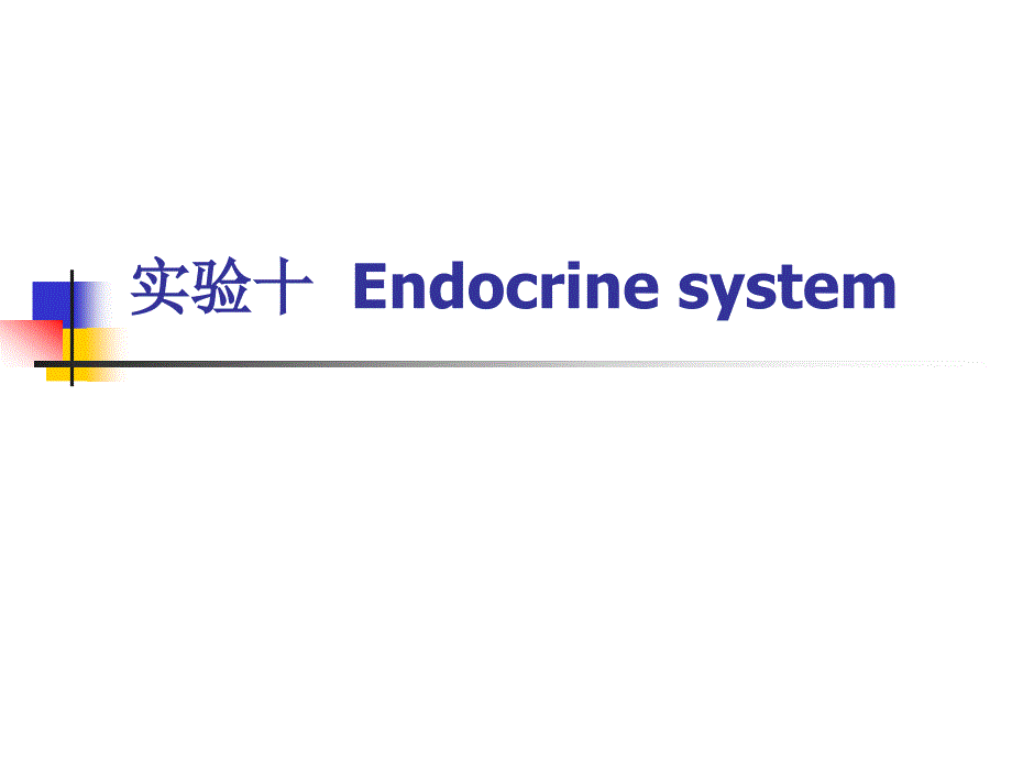 《组织学与胚胎学》实验：实验十 内分泌系统_第1页