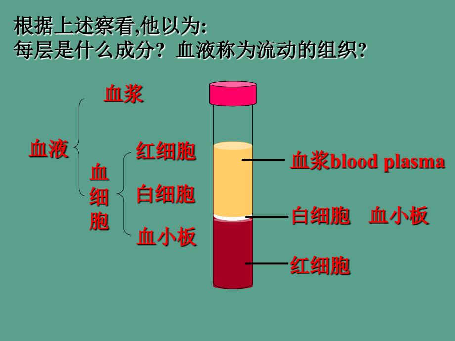 广东初一第二学期生物专题复习四人体内物质的运输ppt课件_第2页